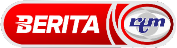 logo rtm
